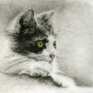 Product Image: Melanie Fain – Calico Girl (86/100)