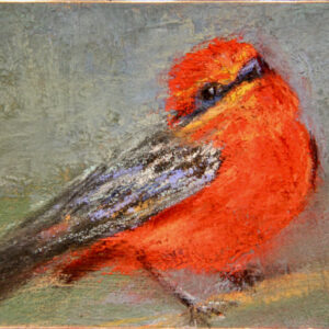 Product Image: Amanda Houston – Vermillion Flycatcher