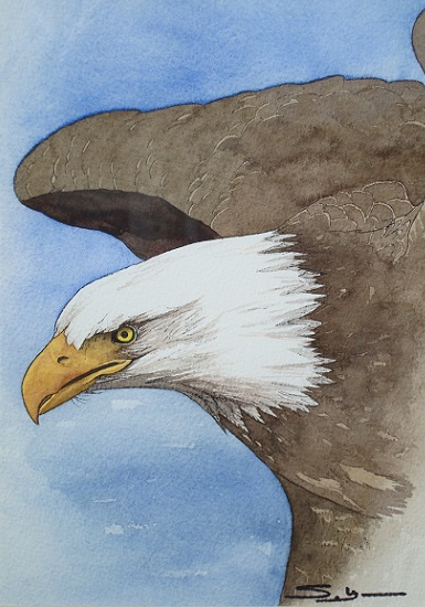 Product Image: ‘Bald Eagle in Flight’ painting