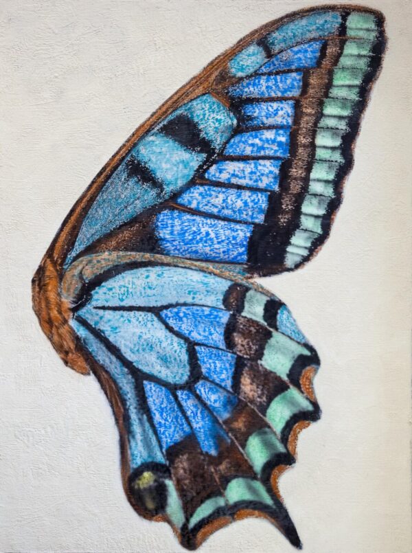 Product Image: Blue Butterfly Wing – Original Mixed Media Art