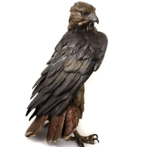 Product Image: Storm Front (Red-Tailed Hawk)