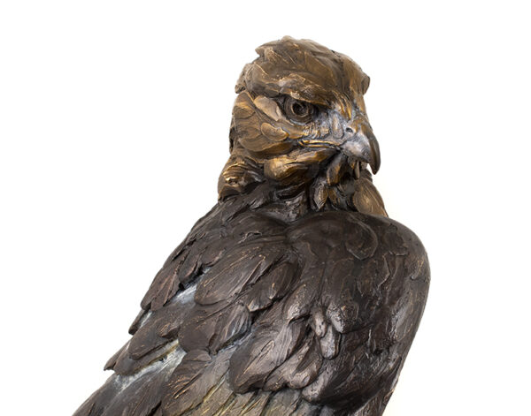 Product Image: Storm Front (Red-Tailed Hawk)