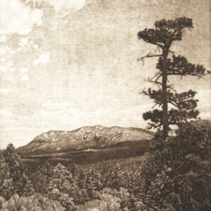 Product Image: “Dia de Campo” Original Hand Pulled Etching