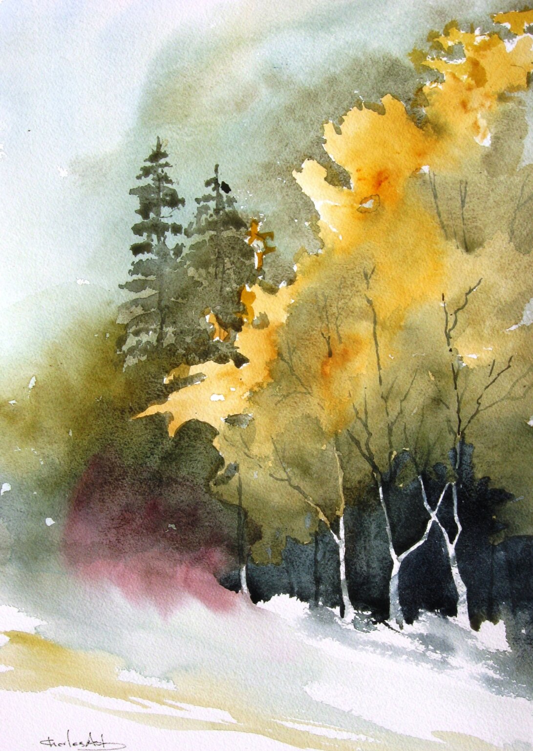 Aurora Borealis: Letting go and conquering the water in watercolor