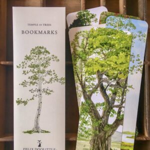 Product Image: Temple of Trees Bookmarks Set
