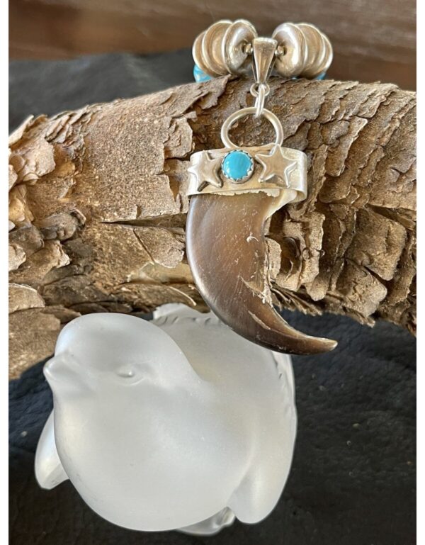Product Image: Real Bear Claw Turquoise Necklace