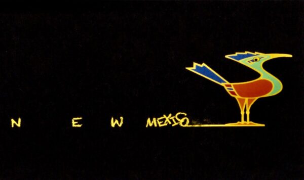 Product Image: “New Mexico Roadrunner” Greeting Cards by William Rotsaert