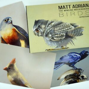 Product Image: The Mincing Mockingbird Birds Fine Art Postcards