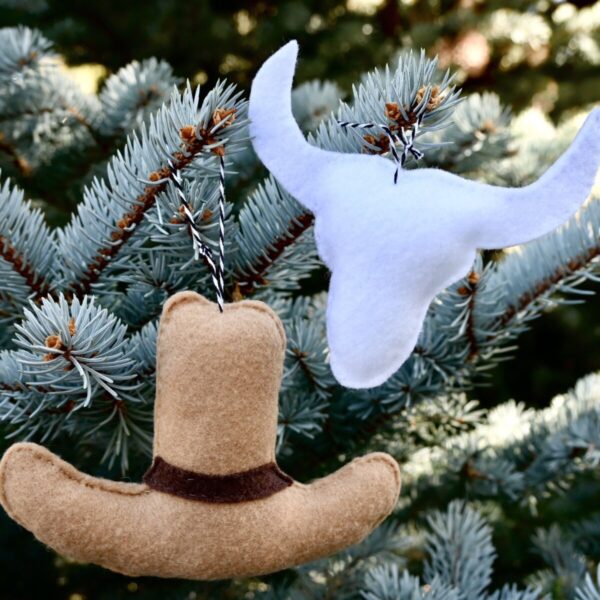 Product Image: Western Holiday Ornaments