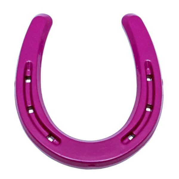 Product Image: Lucky Colorful Horseshoe