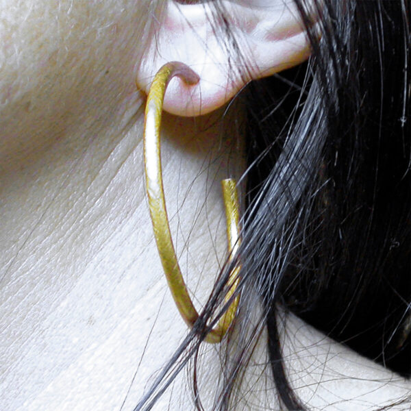 Product Image: Medium Hoops Earrings