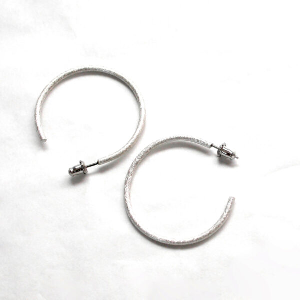 Product Image: Small Hoops Earrings