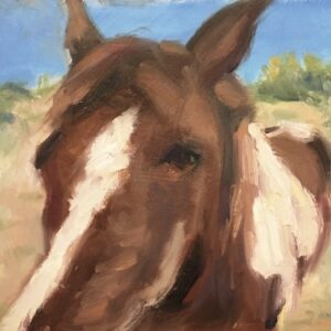 Product Image: A Curious Horse – Painting