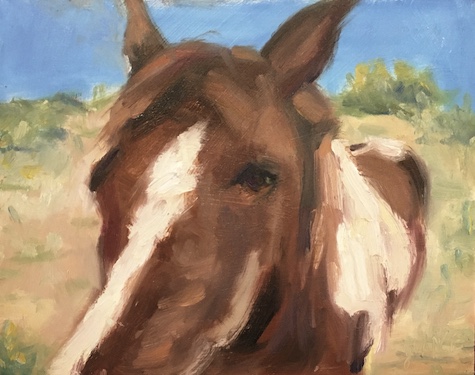 Product Image: A Curious Horse – Painting