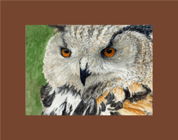 Product Image: Amy’s Owl