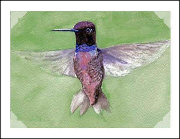 Product Image: Hummers and Others Notecards