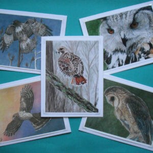 Product Image: Hawks and Owls Note cards