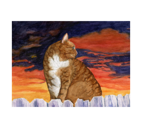 Product Image: Sunset Cat, prints