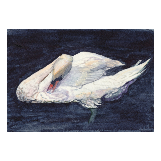 Santa Fe Art Santa Fe Marketplace Shop Where I Live