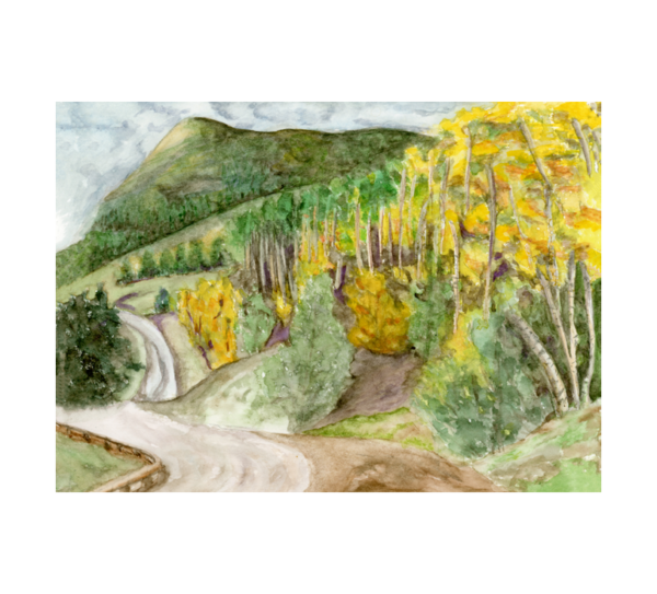 Product Image: Winding Road