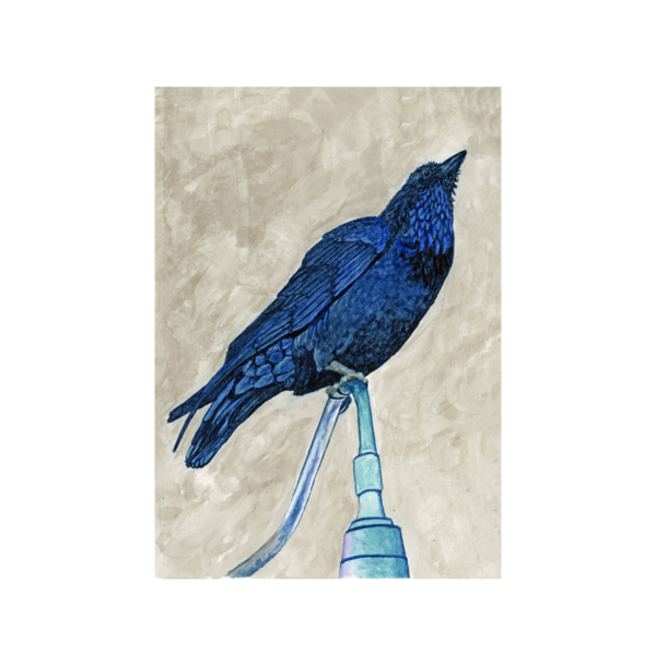 Product Image: “Tommy’s Raven”, original framed watercolor