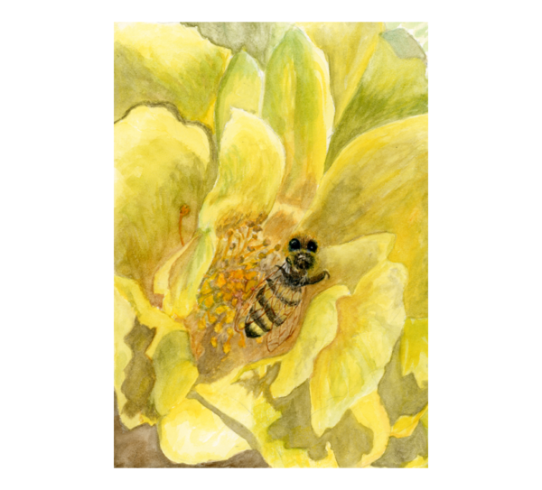 Product Image: Bee Still