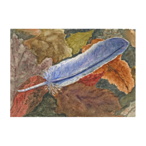 Product Image: “Fall Feather” giclee print*