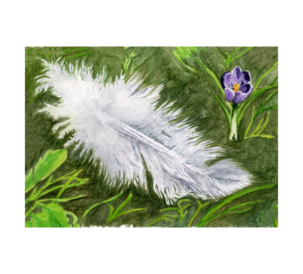 Product Image: Spring Feather