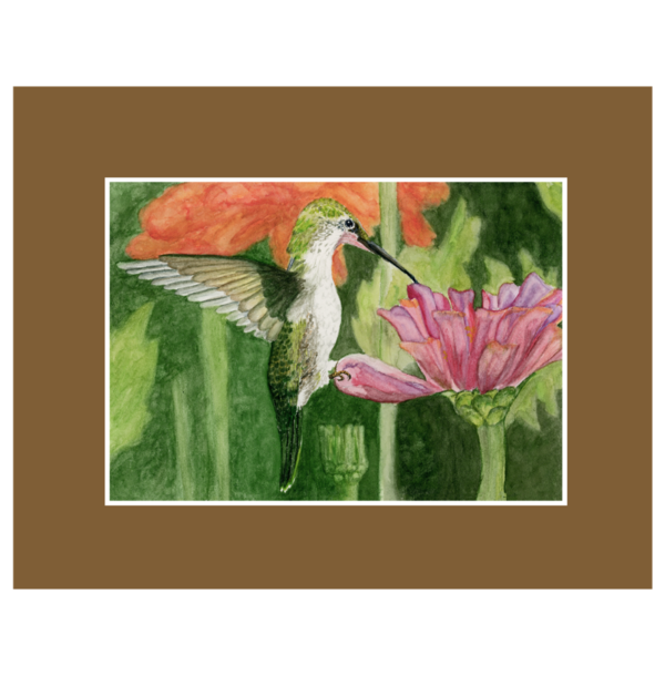 Product Image: Hummingbird, Prints