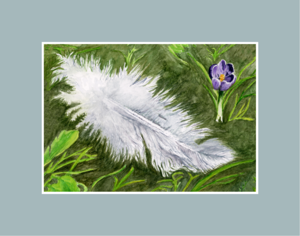 Product Image: Spring Feather