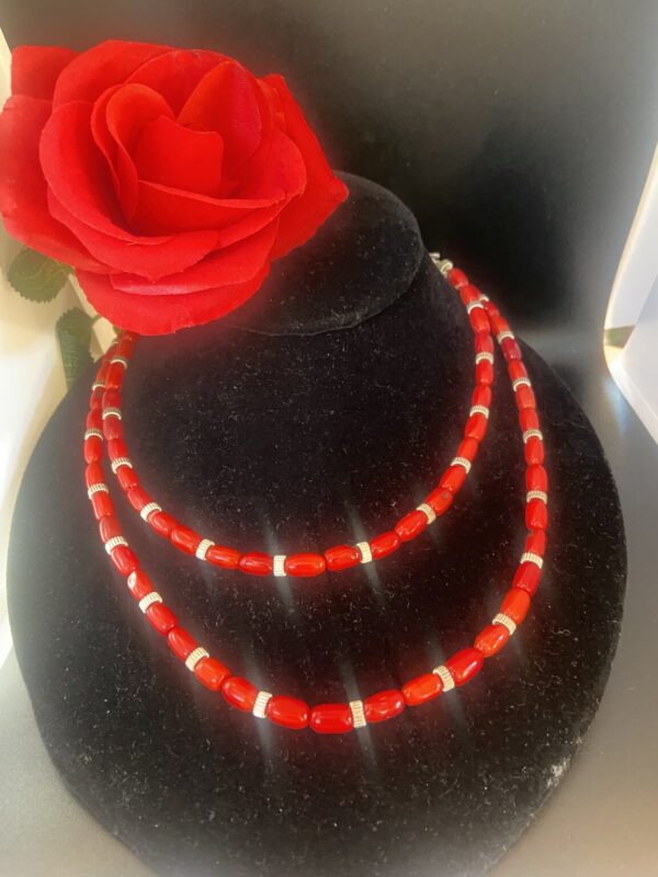 Product Image: Coral with Silver Strand