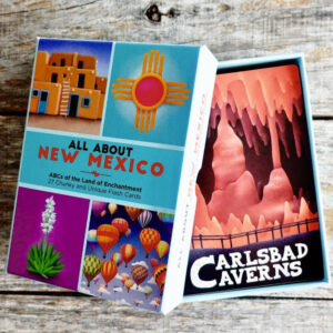 Product Image: All About New Mexico Flash Cards