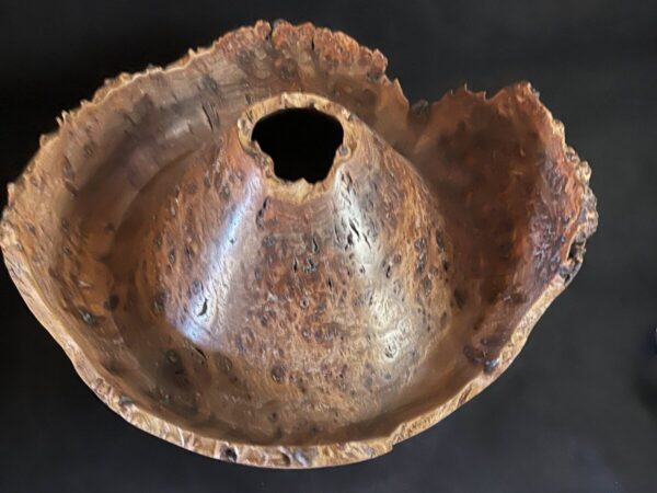Product Image: Elm Burl Crater Bowl
