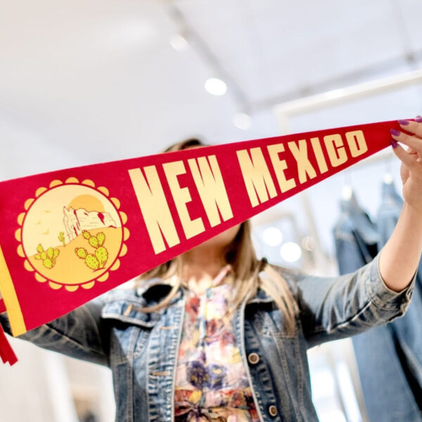 Product Image: Large New Mexico Pennant