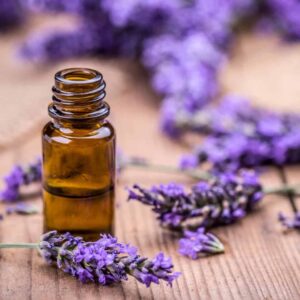 Product Image: Lavender Flight (pure Essential Oils)