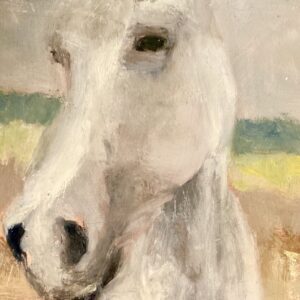Product Image: Unshy Horse