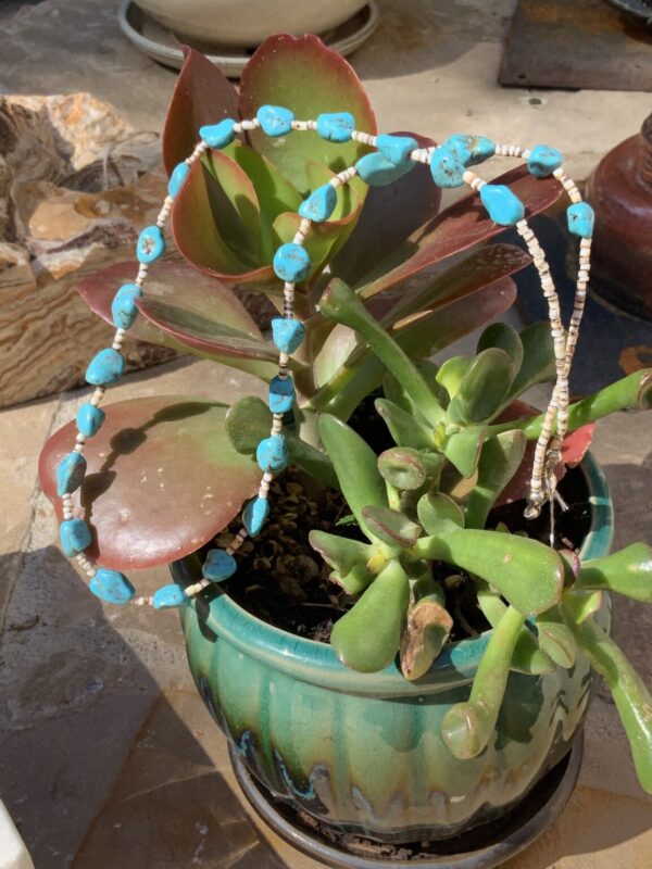 Product Image: Turquoise Vintage Nugget Shell Strand Necklace