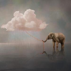 Product Image: Cloud Conveyance System