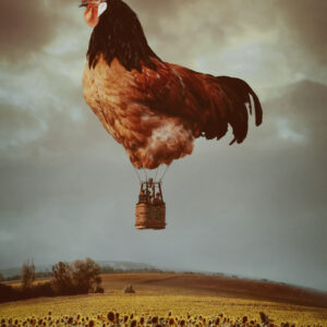 Product Image: Fly Chicken Fly by Sarah Burge