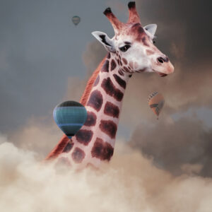 Product Image: Head Above The Clouds II by Sarah Burge