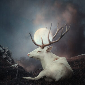 Product Image: Keeper of the Moon – Sara Burge