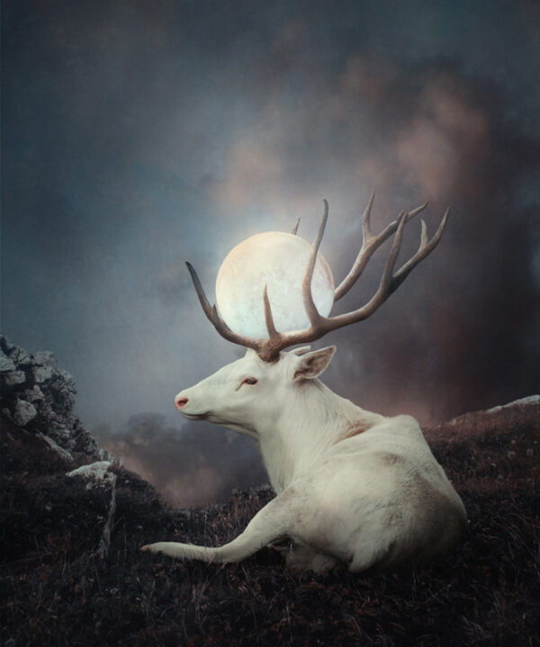 Product Image: Keeper of the Moon – Sara Burge