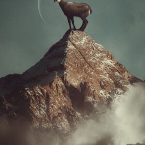 Product Image: On Top Of The World