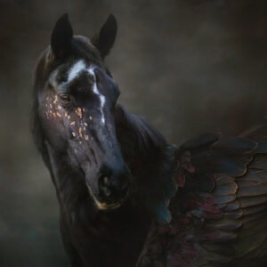 Product Image: Winged Horse of Twilight