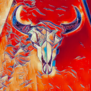 Product Image: “Cow Skull #2” Graphics-Infused Photography – Metal Print
