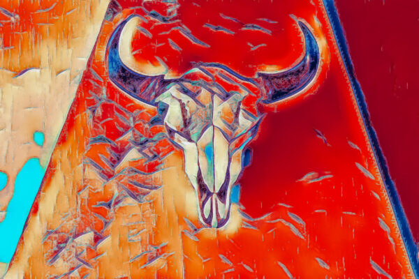 Product Image: “Cow Skull #2” Graphics-Infused Photography – Metal Print