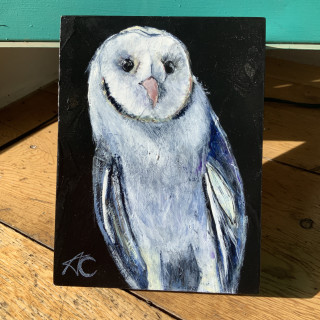 Product Image: Painting Owl “Infinite” 6 x 8 inches