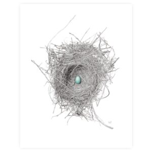 Product Image: American Robin Nest & Egg (Print-Sm)