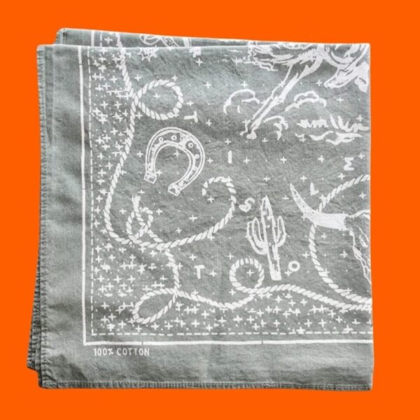 Product Image: Santa Fe Cactus Bandana