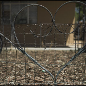 Product Image: Santa Fe Heart Fence – Mark Berndt